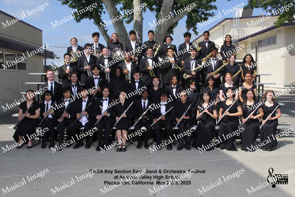 Musical Images